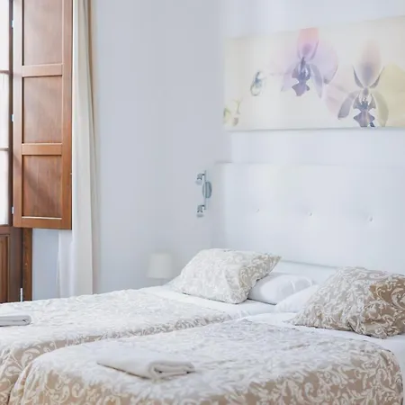 Apartamentos casa palacio-3