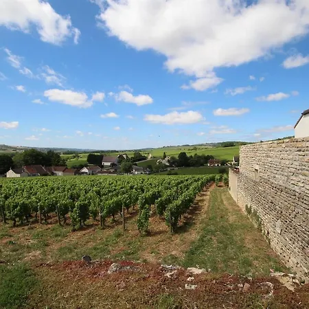 Les Crus de Santenay-3