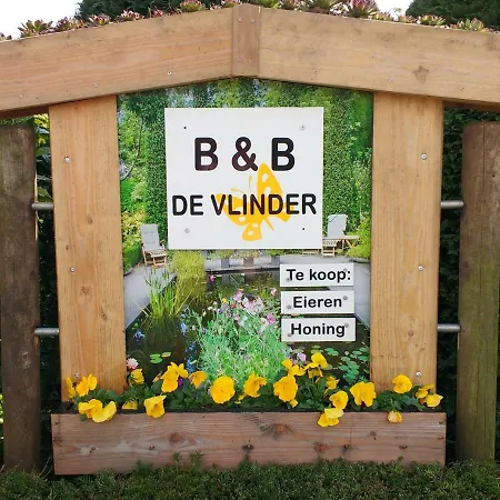 B&B De Vlinder-3