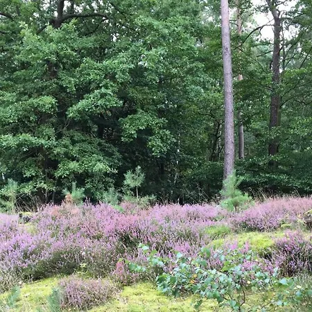 Ferienhof Timmerloher Heide-2