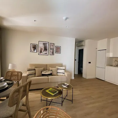 Apartamentos Malaga Premium - Calle San Telmo-3