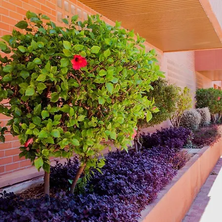 Apartamento Teatinos Malaga, Metro, Free Parking&Pool-3