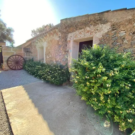 Finca Sa Canova Agroturismo-2