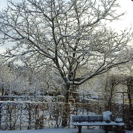 B&B De Vlinder-2