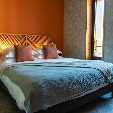 Logis Hôtel Altitude et Spa Pierre-Percée-2
