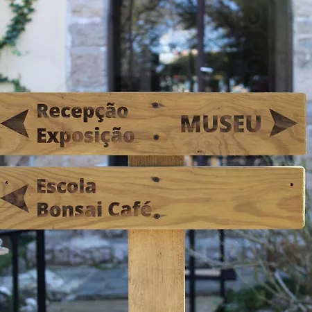 Zen Guest House - Museu Do Bonsai-2
