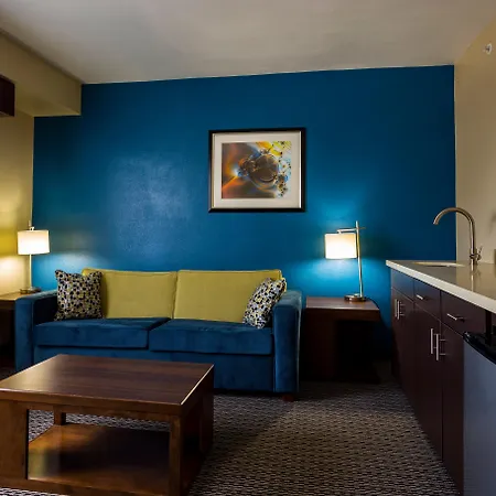 Holiday Inn Houston Downtown By Ihg-3