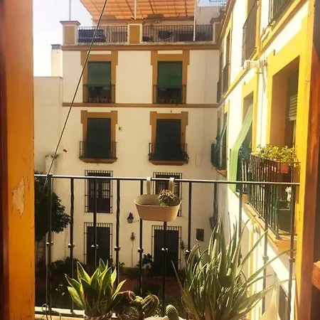 Plaza Cristo de Burgos-3