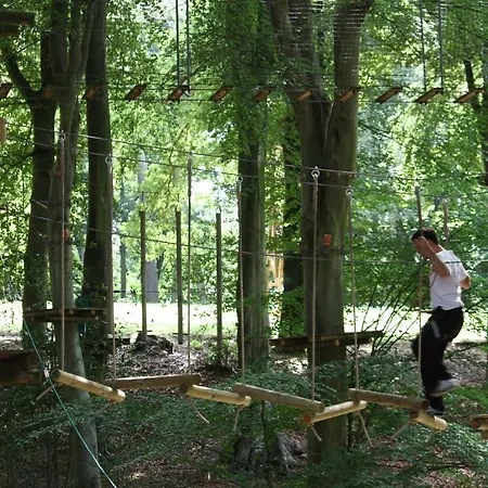 Woody Park-2