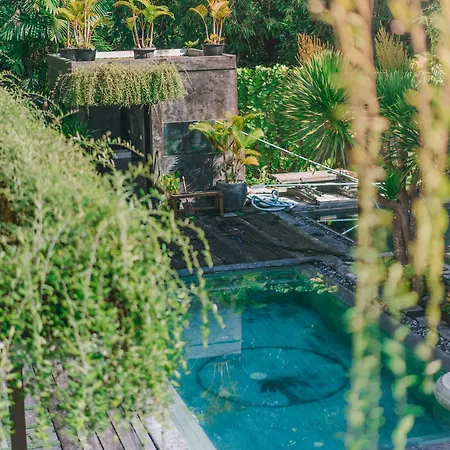 The Farm Canggu Party Hostel-2