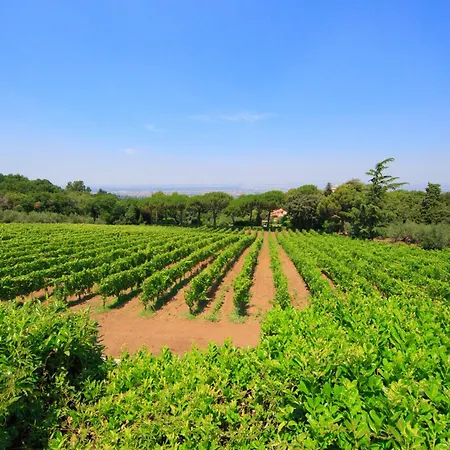 Frascati Country House-3