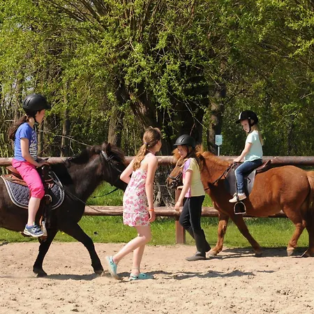 Recreatiepark de Meibeek-2