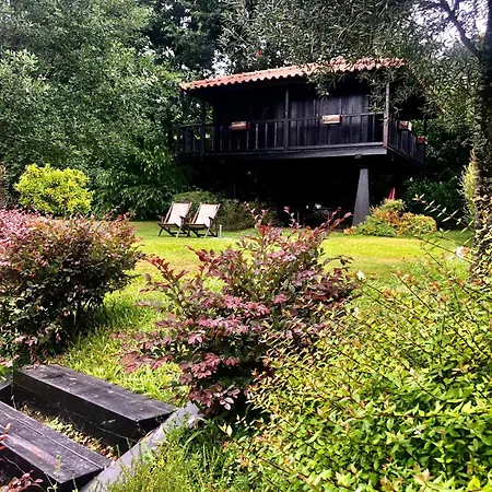 Quinta Lamosa Agroturismo-3