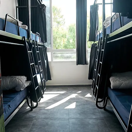 Jungle Jaffa Hostel Age 18 To 45-3