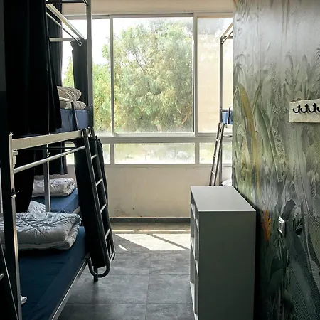 Jungle Jaffa Hostel Age 18 To 45-2