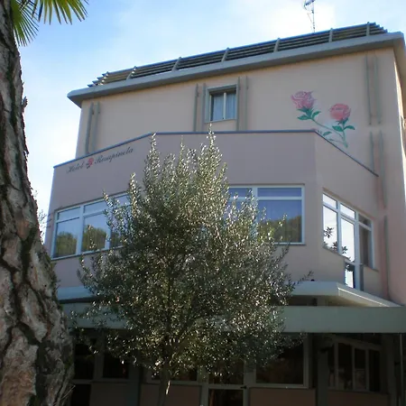 Hotel Rosapineta - Adults Only-2