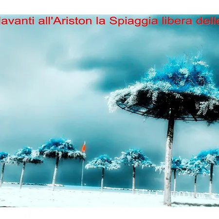 Hotel Ariston-2