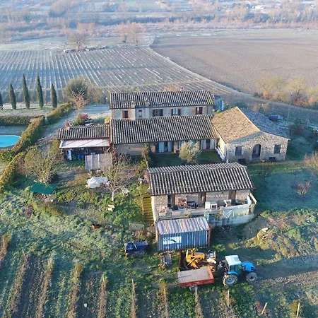 Agriturismo Il Poggio Di Orvieto-3