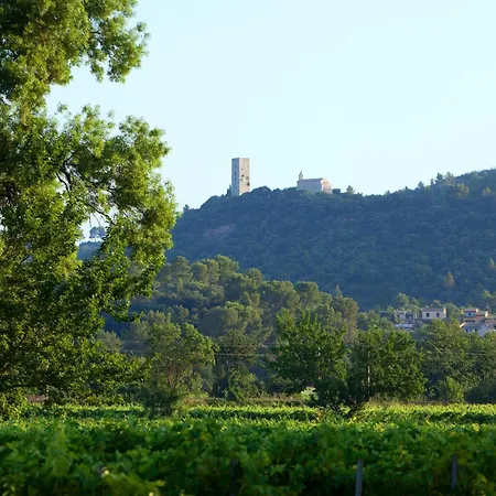 Chateau de Saint Martin-2