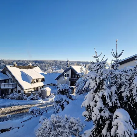 Schwarzwaldblick-2