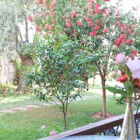 Nilüfer Butik Otel-3