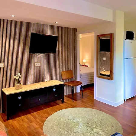 Apartamentos Confort Formigal 3000-3