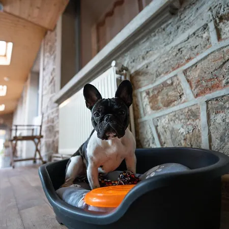 Hob Fort du Pré-2