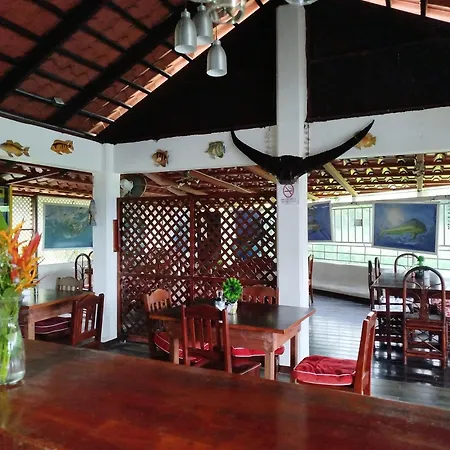 Hotel Pez Gallo-3