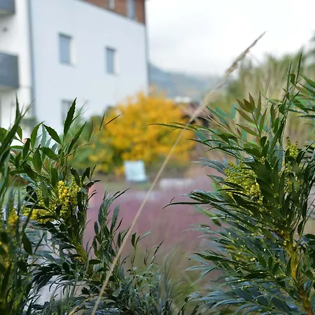 Haus Wiesenstein-2