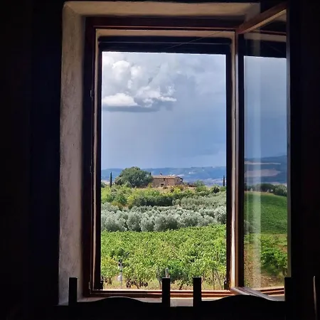 Luce di Vino-3