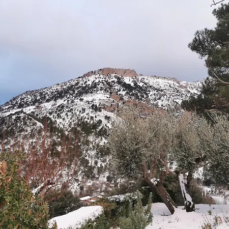 Saluda Alta-2