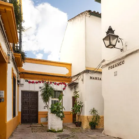 Los Patios de San Agustín-3