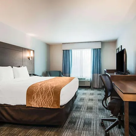 Comfort Inn & Suites East Ellijay-3