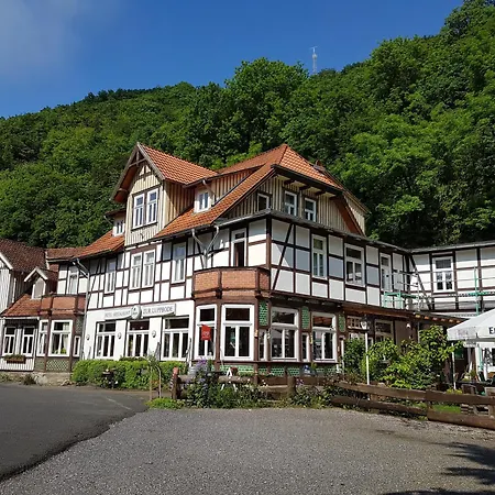 Hotel Zur Luppbode-3