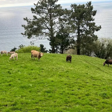 Agroturismo Itxaspe-3