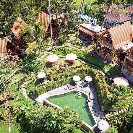 The Jungle Villa-2