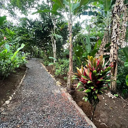 Arenal Rustic Lodge-2