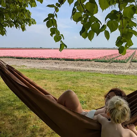 Empty Spot On Grass Camping The Tulip No Beds-3