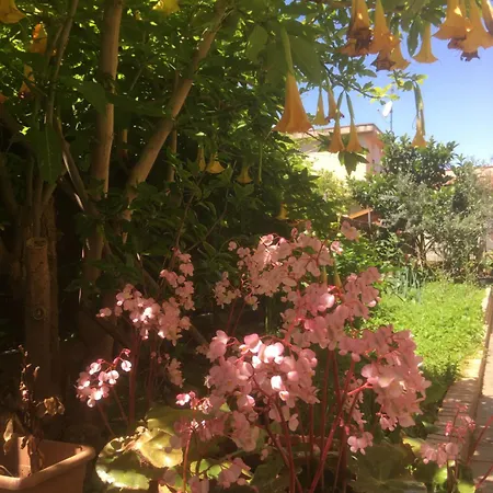 Casa de Aurora-3
