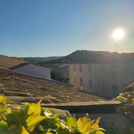 Le Patio Des Cigales-3