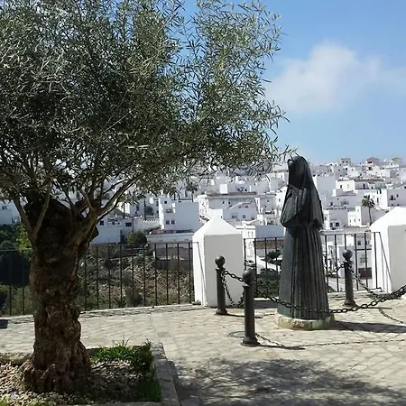 Puro Vejer-2