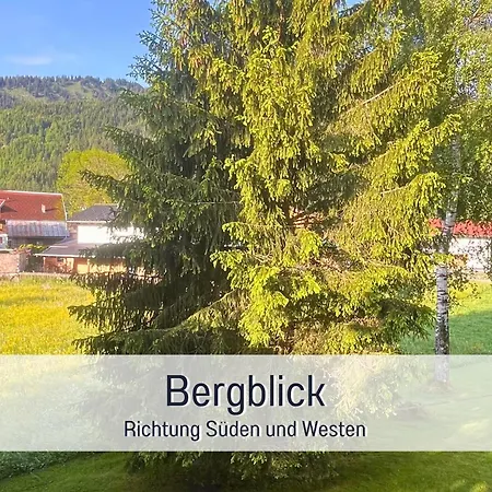 Ruhige zentrale Apartments mit privater Infrarotsauna&Bergblick in Tannheim-3