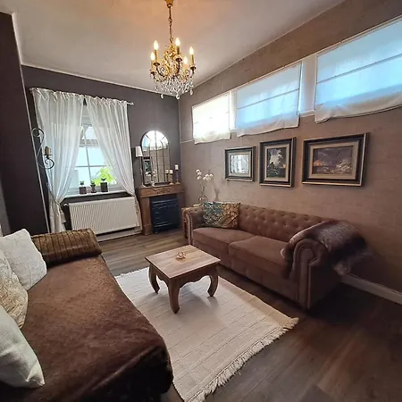 Cozy Apartment-2