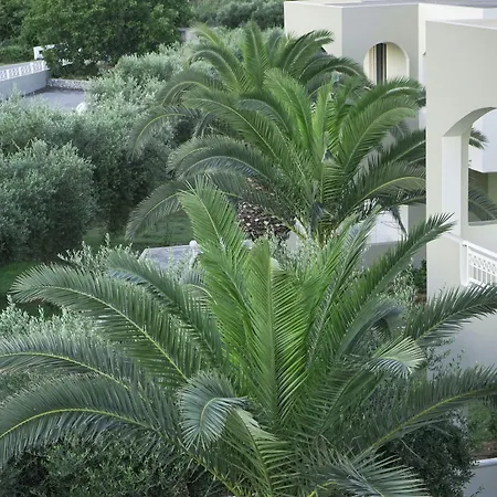 Vardis Olive Garden-3