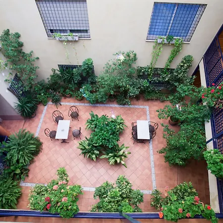 Apartamentos Sevilla-3