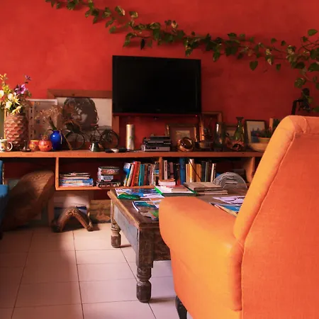 Hostel Malti Budget-3