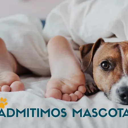 Apartamentos Olimpo 3000-2