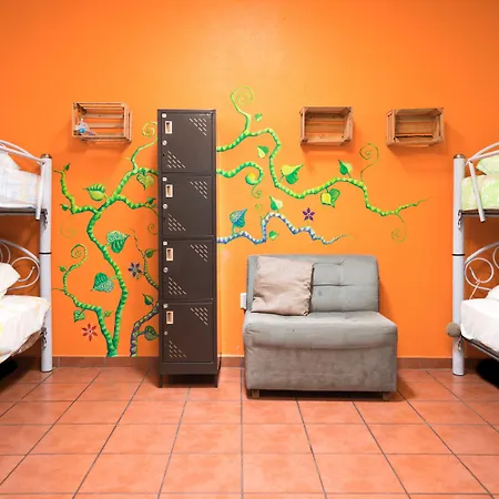 Azul Cielo Hostel-2