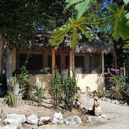 Maya Eco Village-2