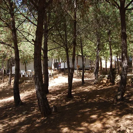 Camping Valdearenas-2